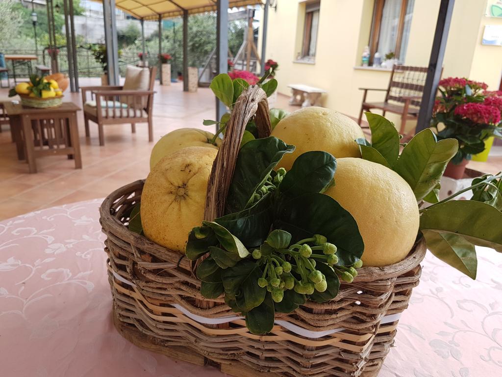 Agriturismo Al Nido Degli Aironi Sanremo Exteriér fotografie