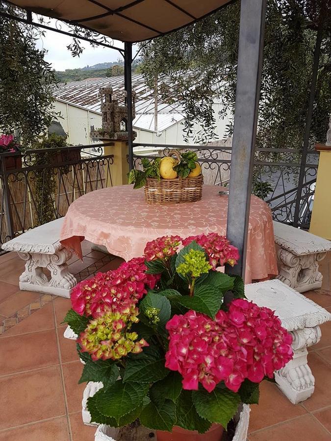 Agriturismo Al Nido Degli Aironi Sanremo Exteriér fotografie