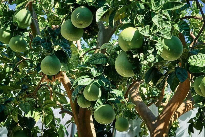Agriturismo Al Nido Degli Aironi Sanremo Exteriér fotografie