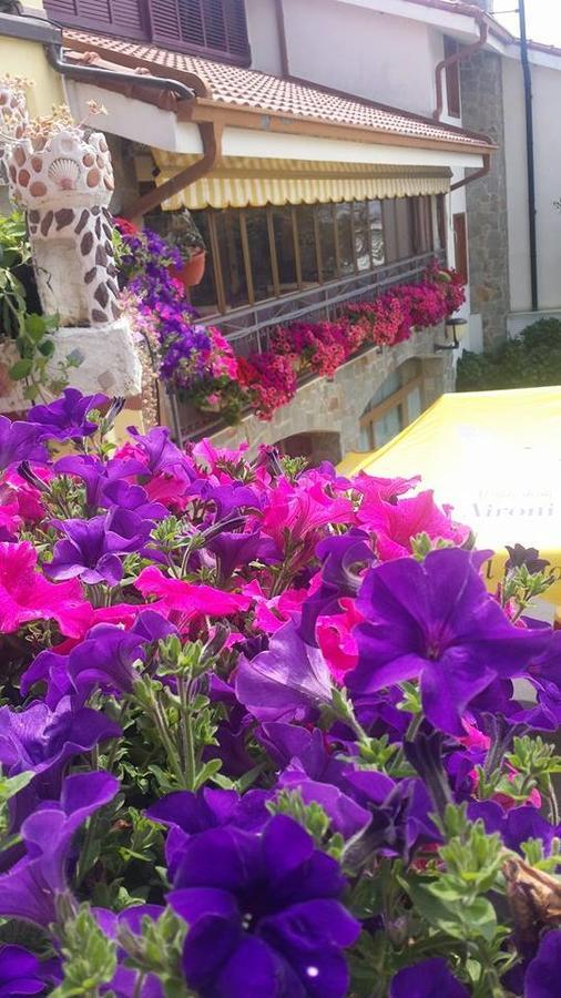 Agriturismo Al Nido Degli Aironi Sanremo Exteriér fotografie